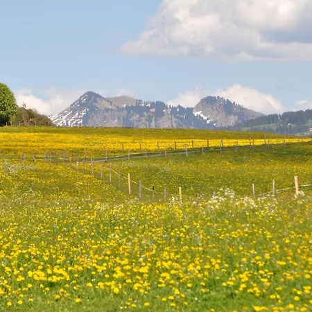 Brigitte * 오베르마이셀스타인