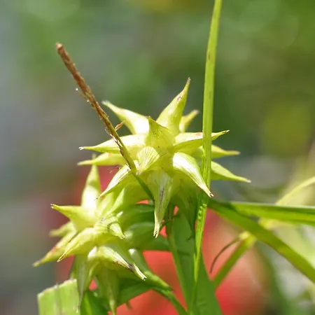 아파트 Brigitte *