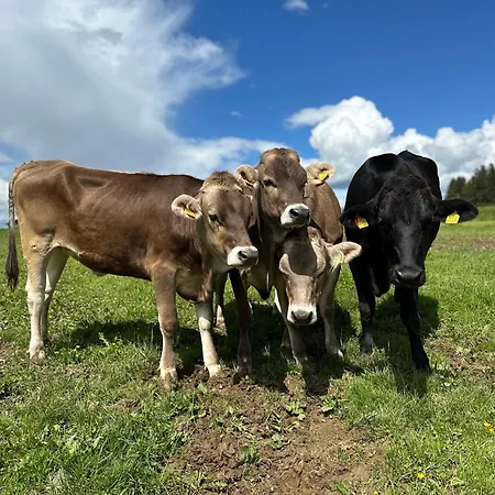 Brigitte 아파트 *