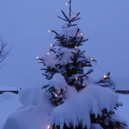 아파트 Brigitte 오베르마이셀스타인