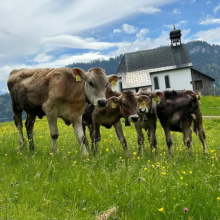 Brigitte 아파트 *