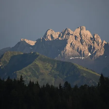 Brigitte Apartment Obermaiselstein