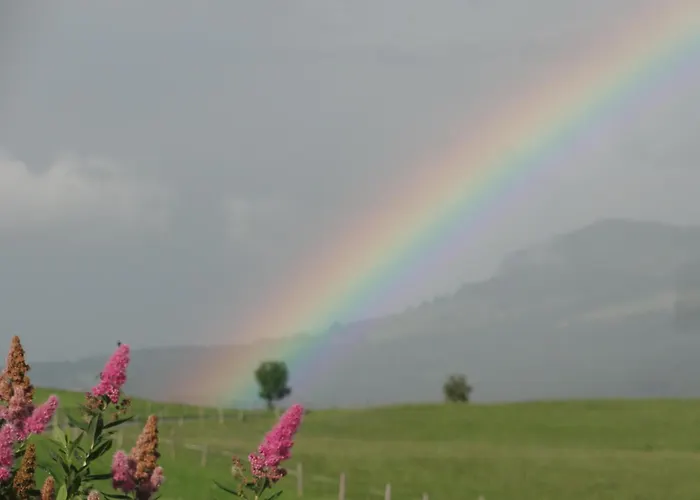Brigitte Apartmán Obermaiselstein
