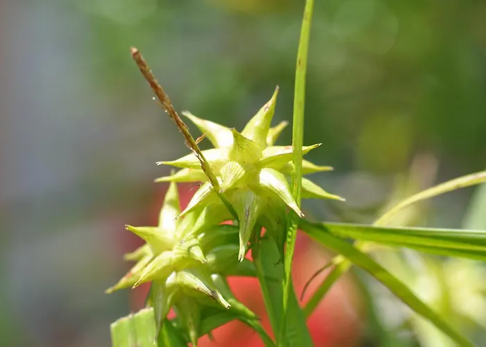 Apartmán Brigitte *