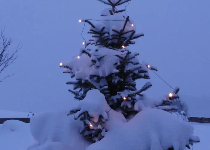 Apartmán Brigitte Obermaiselstein