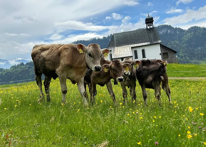 Brigitte Apartmán *