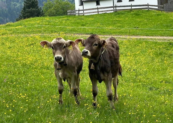 Brigitte Obermaiselstein